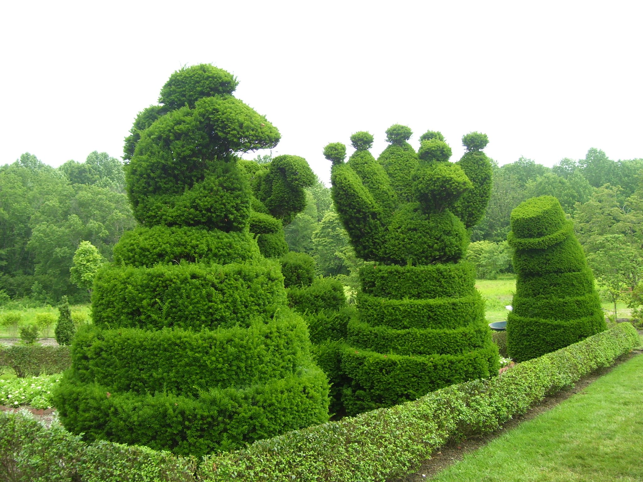 ccgc sculputure garden june 2011