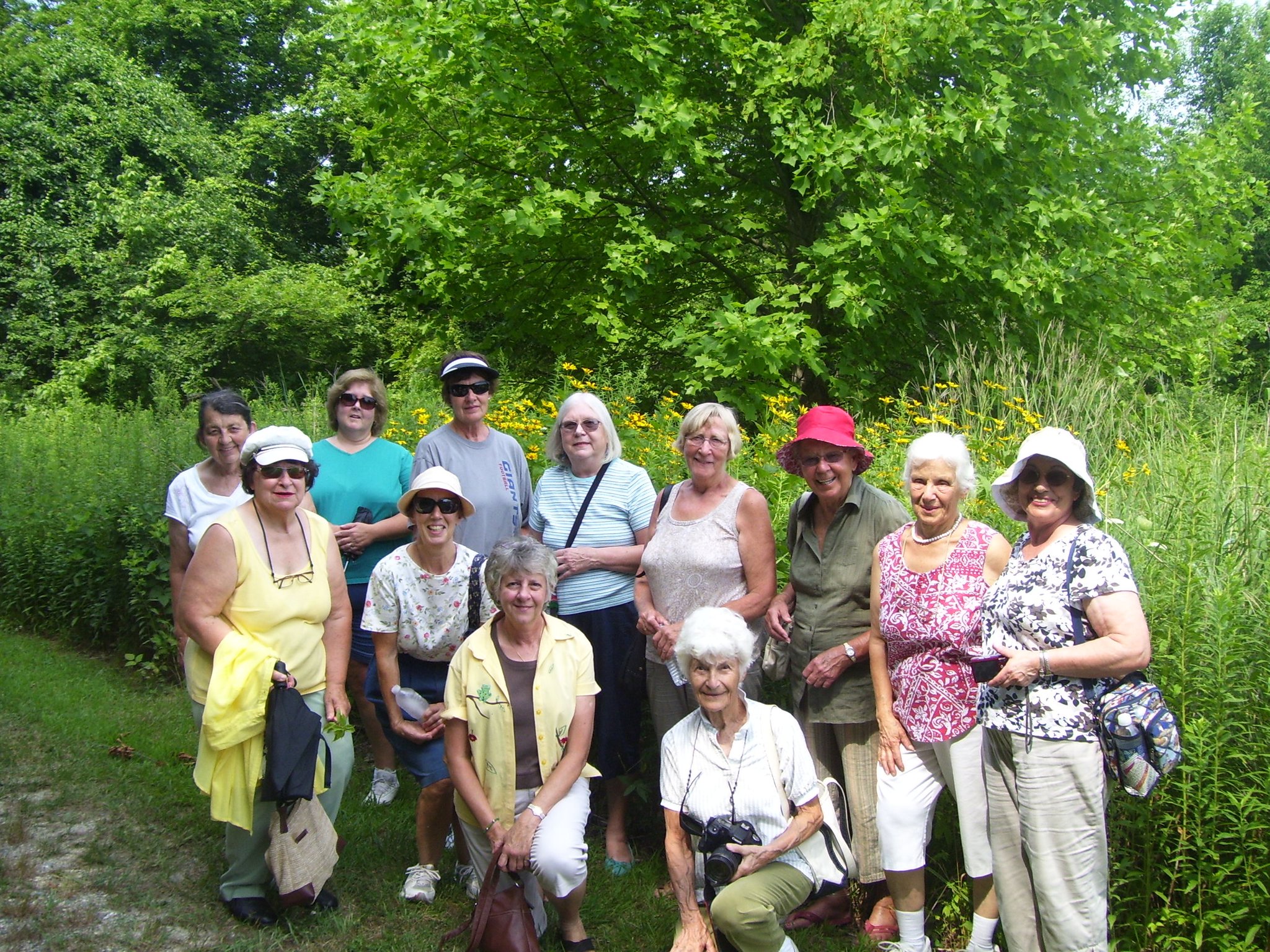 wildflower conservatory july 2011